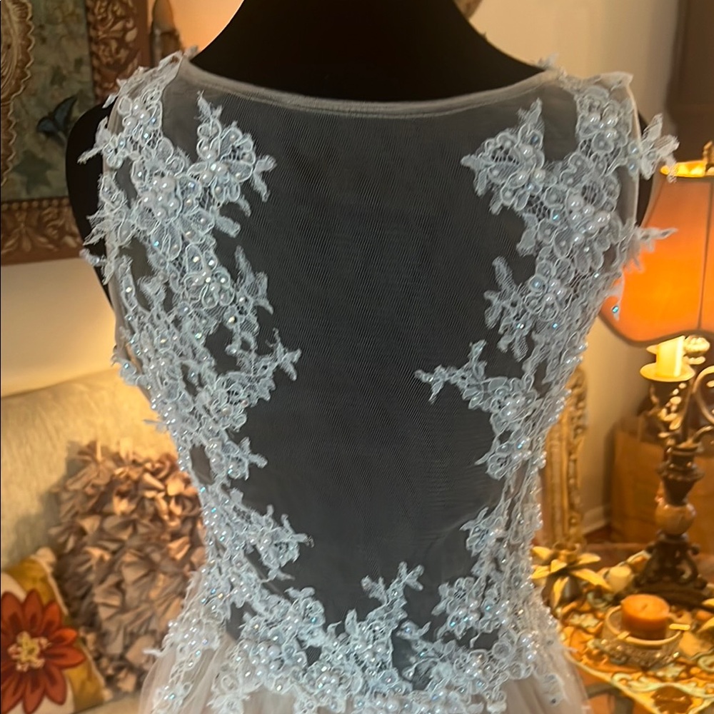 Elegant Nude Lace Evening Gown - Picture 6 of 6
